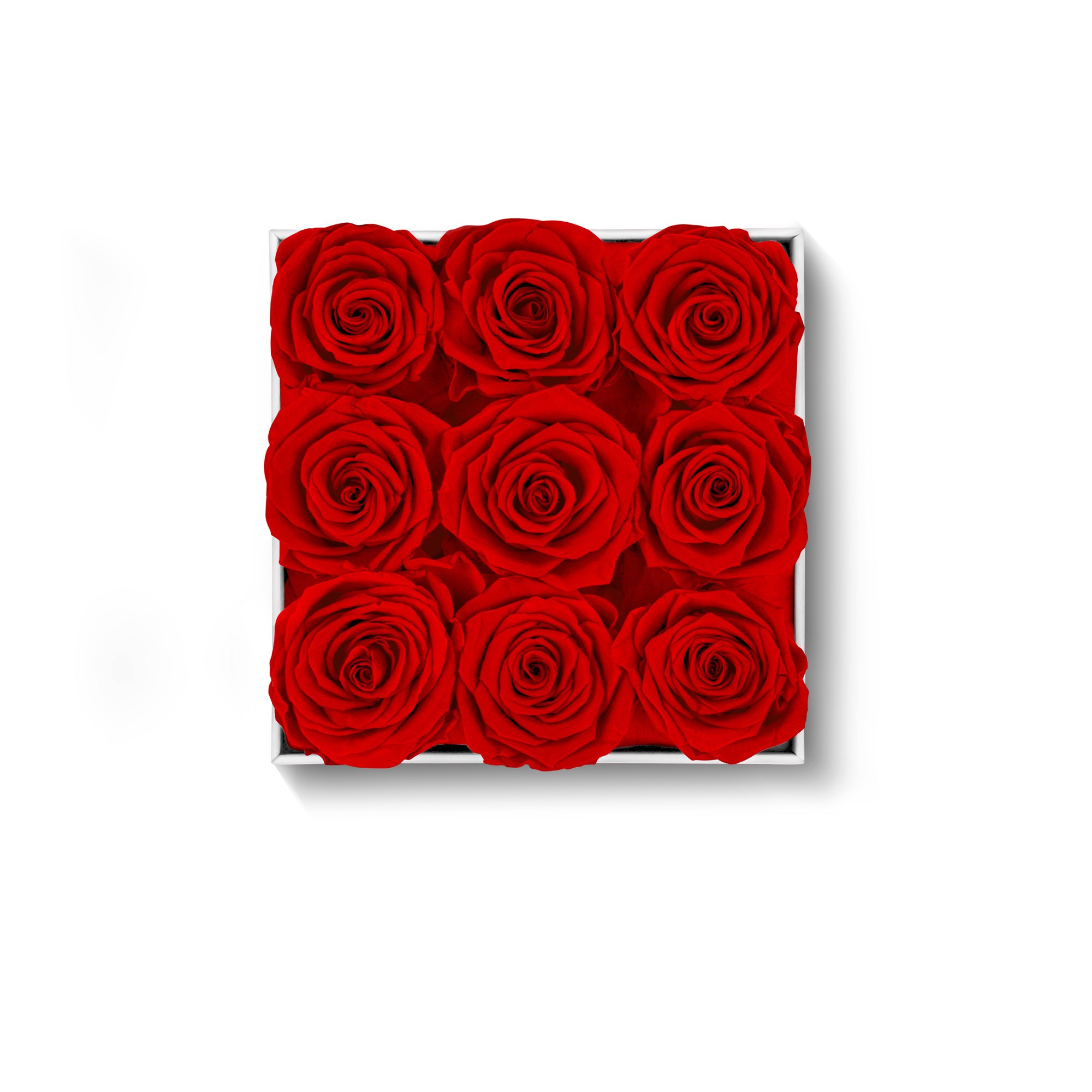 9 Preserved Red Roses.Square Black Display Box