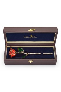 engagement present idea