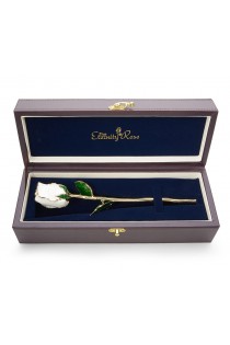 White Tight Bud Glazed Rose Trimmed with 24K Gold 12"