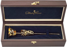 Gold Eternity Rose