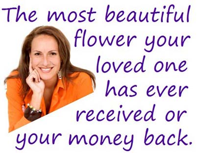 The most beautiful flower or your money back